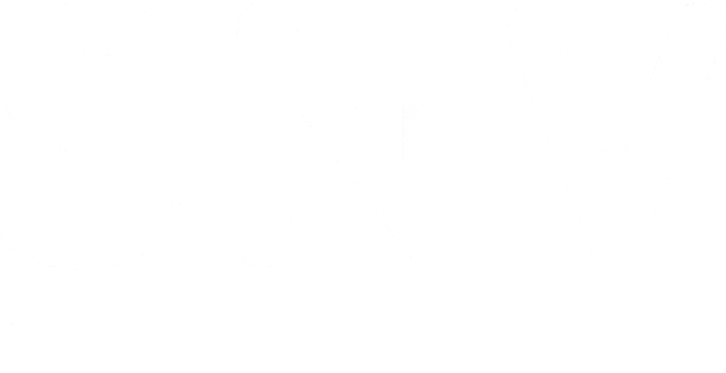snv logo mono